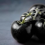 socialmedia-formedia